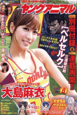 木府风云电视剧全集