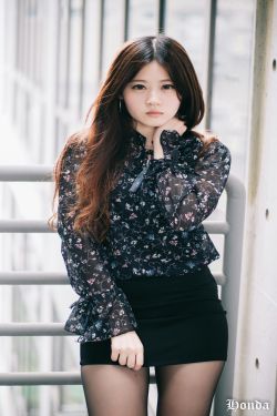 电视剧黑狐全集