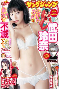 西出玉门电视剧