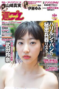 迎风的青春电视剧免费观看