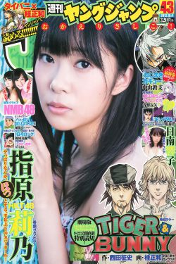 王者歸來(lái)黃飛鴻