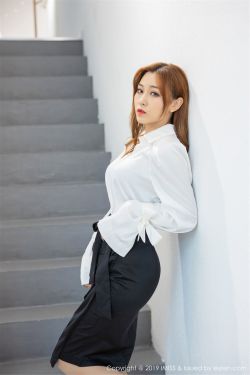 乡村爱情17 0