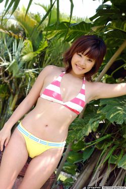 翡翠森林