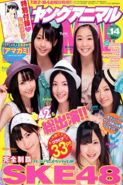 风声电视完整免费观看
