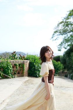 蜘蛛丛林