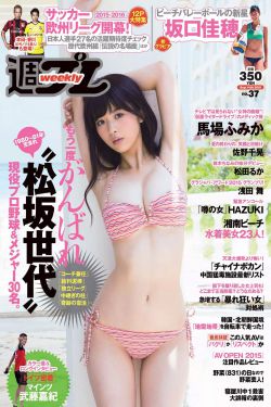 我来也 电视剧